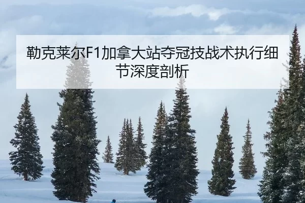 lei-ke-lai-er-jia-na-da-zhan-duo-guan-ji-zhan-shu-zhi-xing-xi-jie-shen-du-pou-xi-2-138.jpg