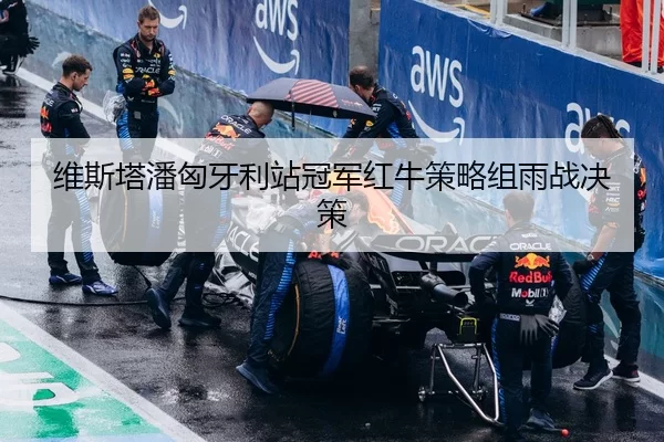 维斯塔潘匈牙利站冠军红牛策略组雨战决策